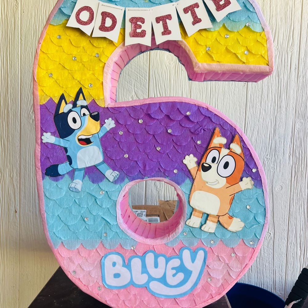 Bluey Themed Number 6 Party Decoration